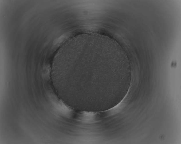 X0000092320144200710121530
