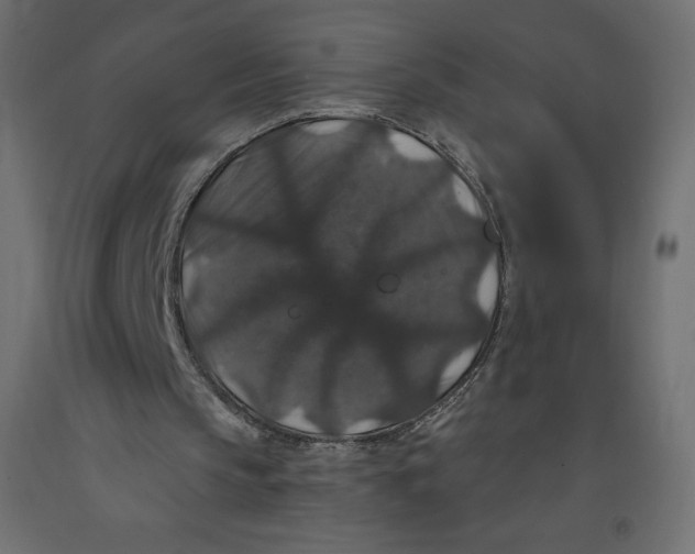 X0000092320145200710121529