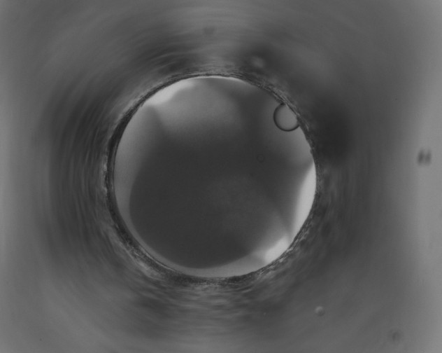 X0000092320146200710121529