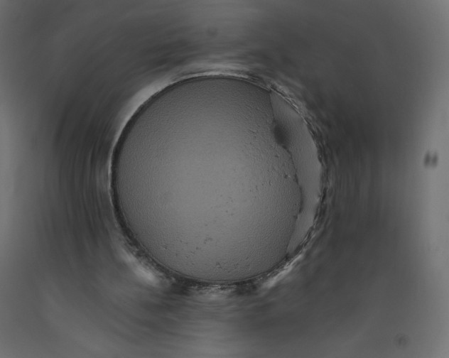 X0000092320148200710121529