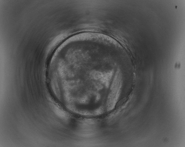 X0000092320149200710121529