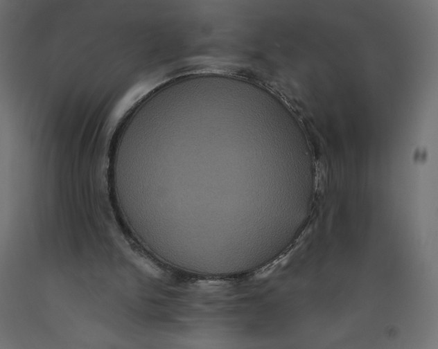 X0000092320150200710121529