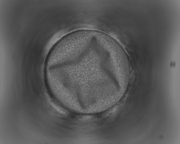 X0000092320151200710121529