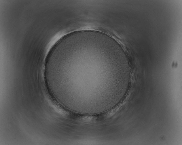 X0000092320152200710121529