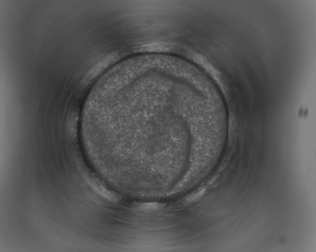 X0000092320153200710121529