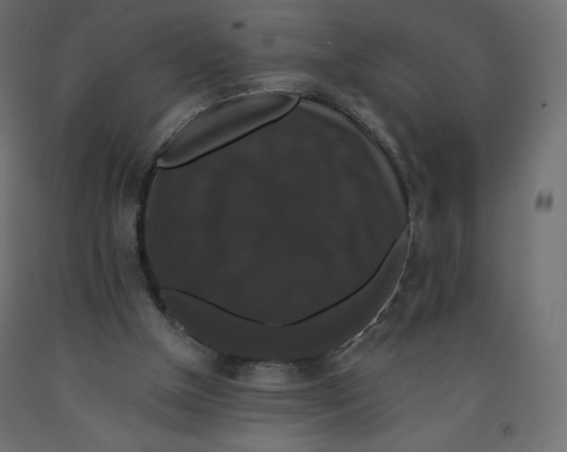 X0000092320154200710121529