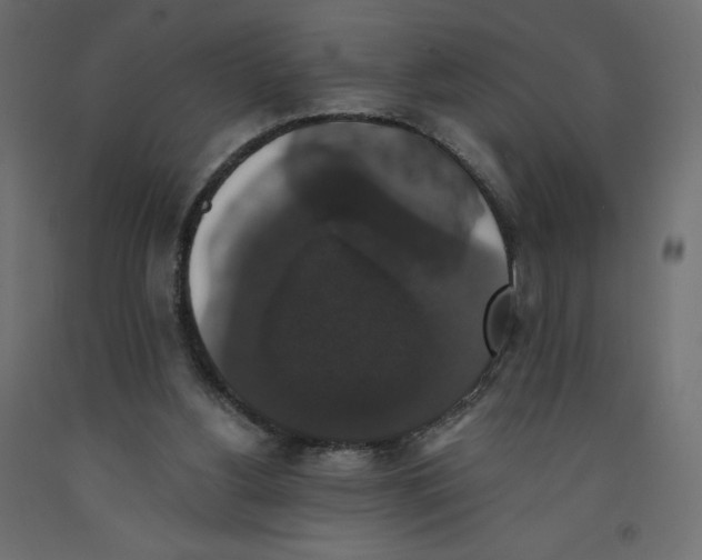 X0000092320156200710121529