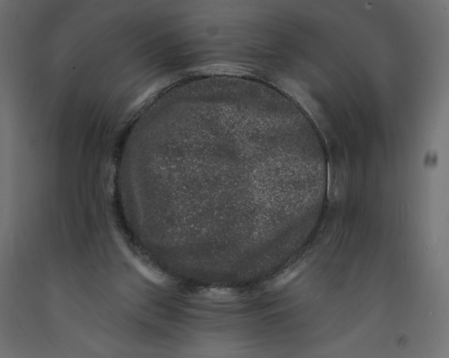 X0000092320157200710121529