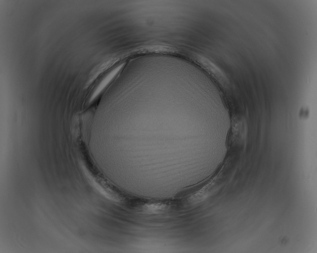 X0000092320158200710121529