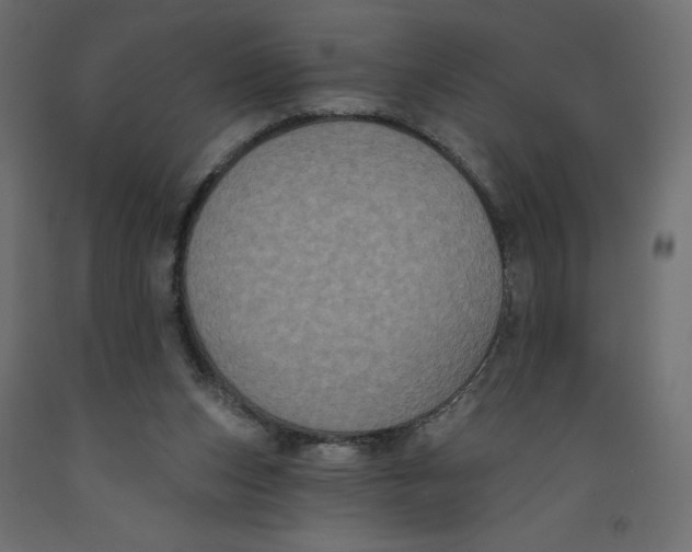 X0000092320159200710121529