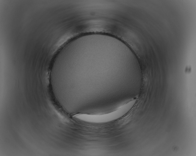 X0000092320160200710121529