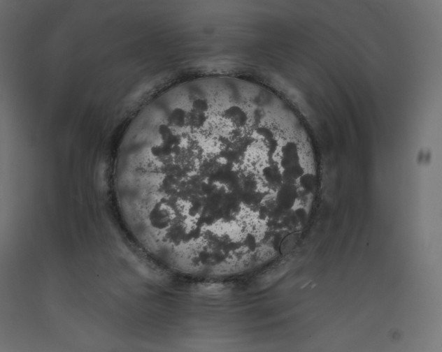 X0000092320161200710121529