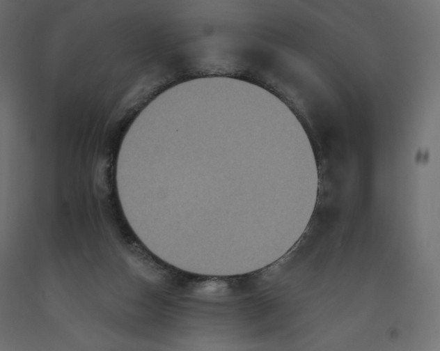 X0000092320162200710121529