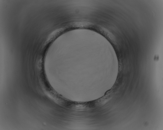X0000092320163200710121529