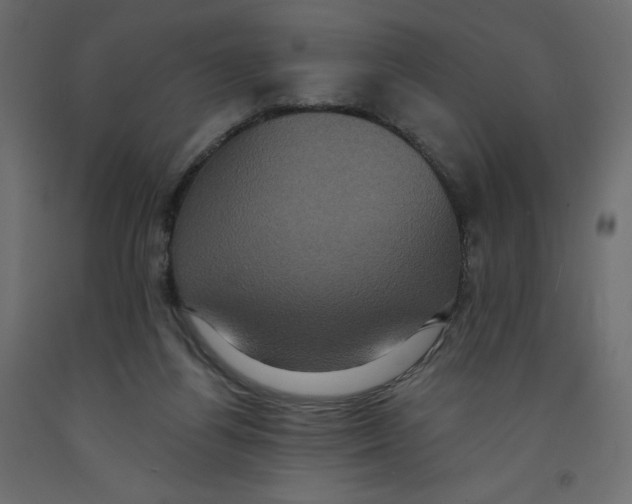 X0000092320164200710121529