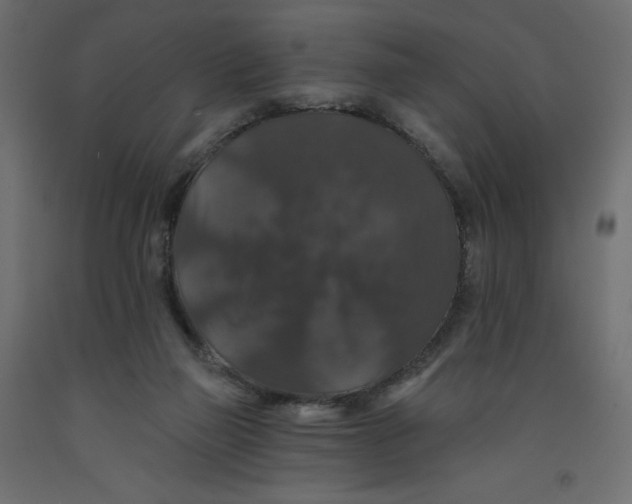 X0000092320165200710121529