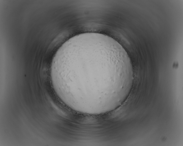 X0000092320166200710121529