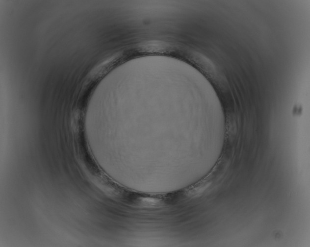 X0000092320167200710121529