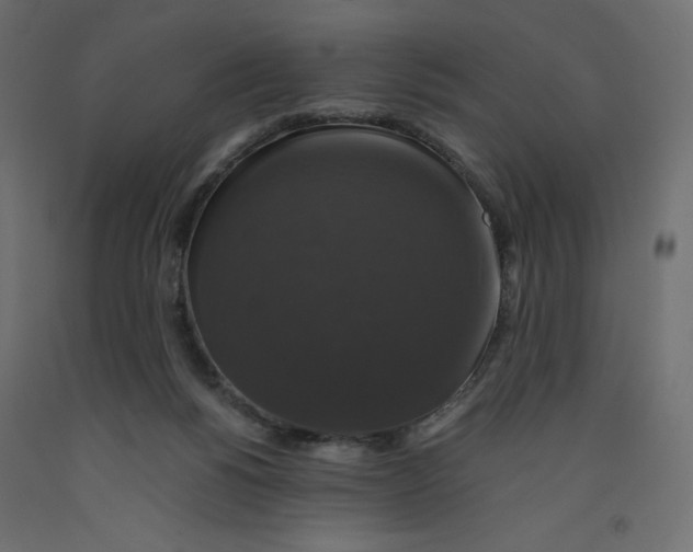X0000092320168200710121529