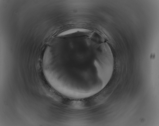 X0000092320169200710121529
