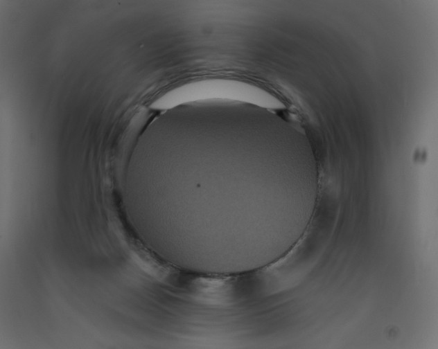 X0000092320170200710121529
