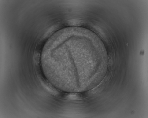X0000092320171200710121529