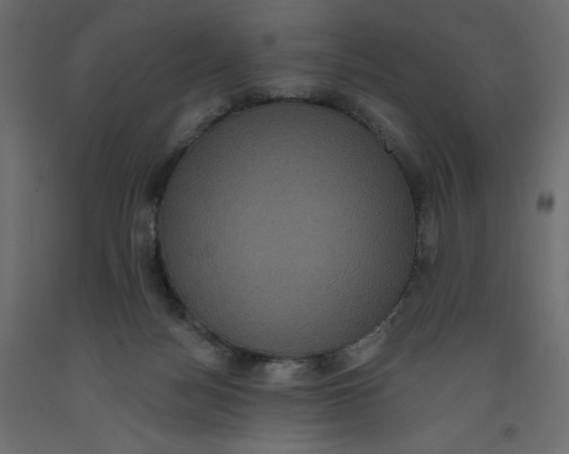 X0000092320172200710121529