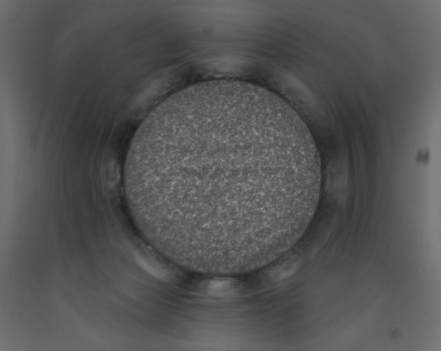 X0000092320173200710121529
