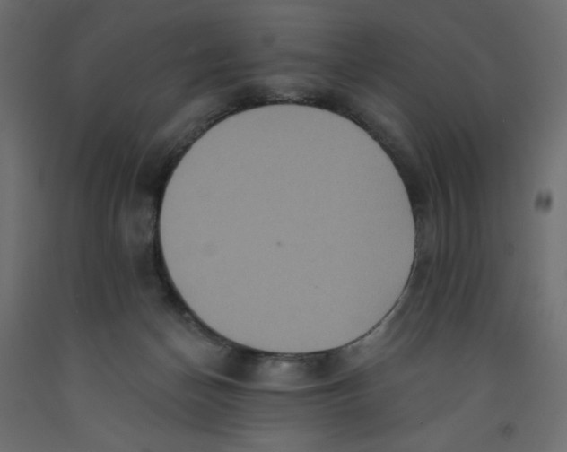 X0000092320174200710121529