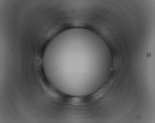 X0000092320176200710121529