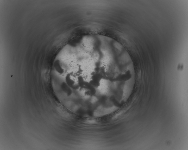X0000092320177200710121529