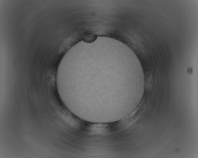 X0000092320179200710121529