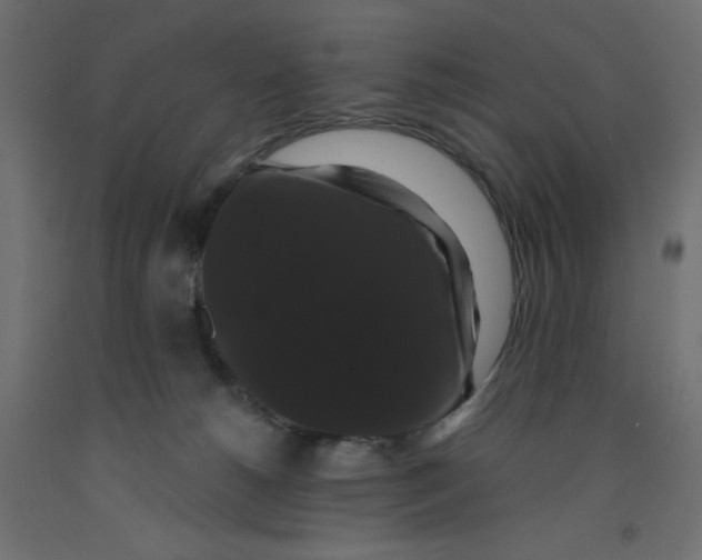 X0000092320180200710121529