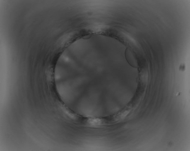 X0000092320181200710121529