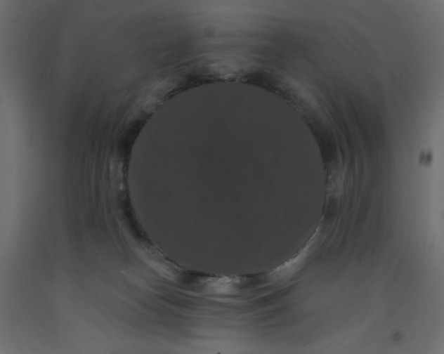 X0000092320182200710121529