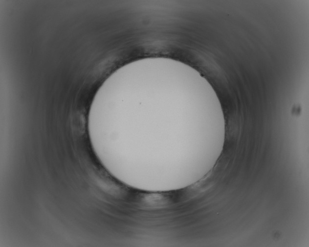 X0000092320183200710121529