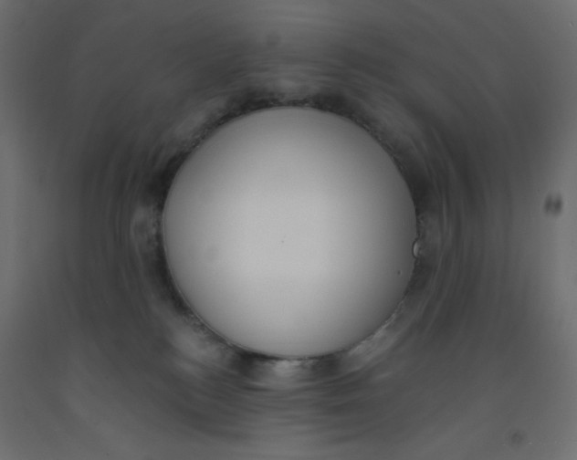 X0000092320184200710121529