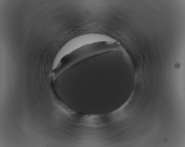 X0000092320186200710121530
