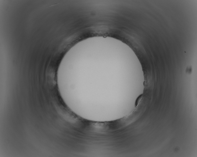 X0000092320187200710121530