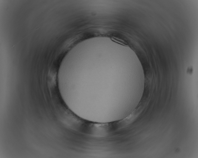X0000092320188200710121530