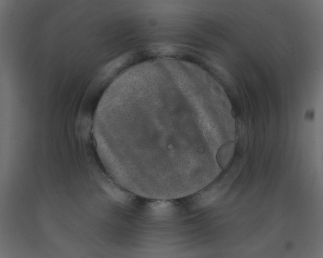 X0000092320189200710121530