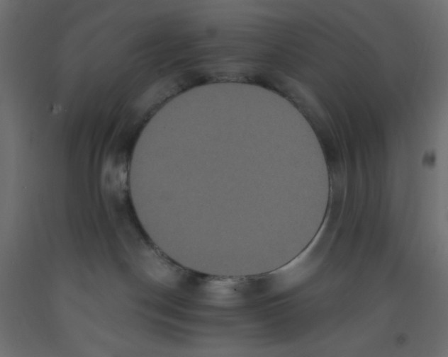 X0000092320190200710121530
