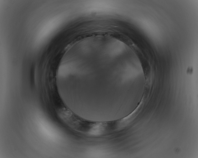 X0000092320191200710121530
