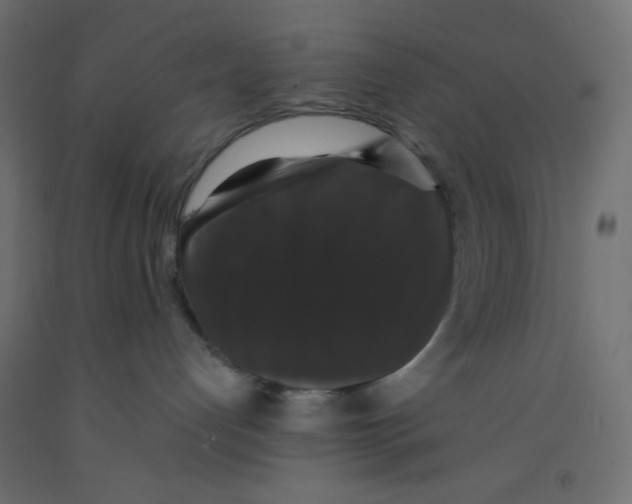 X0000092320192200710121530