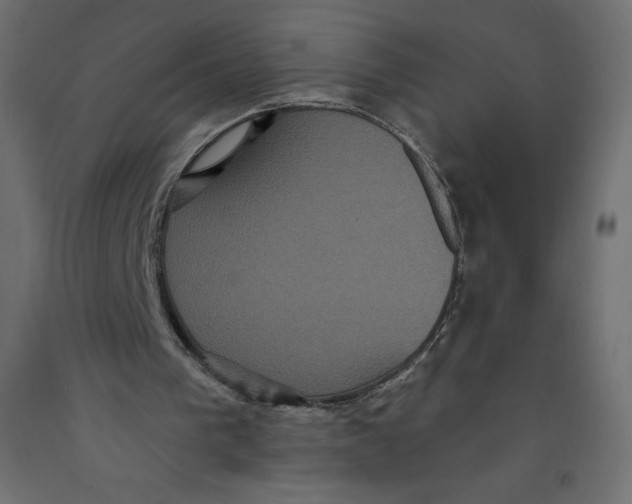 X0000092320193200710121529
