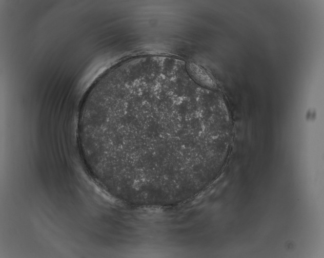 X0000092320194200710121529