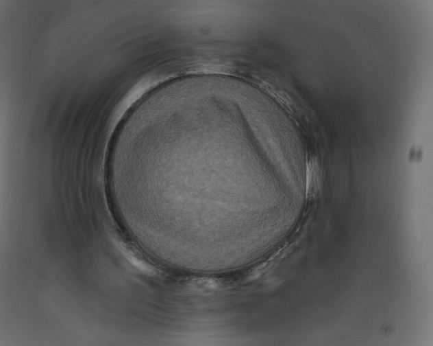 X0000092320195200710121529