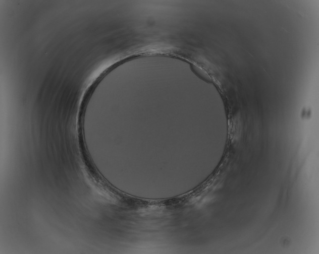 X0000092320196200710121529