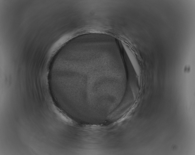 X0000092320197200710121529