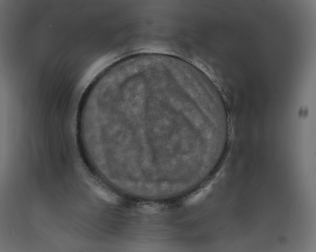 X0000092320199200710121529
